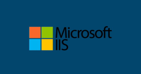 Microsoft IIS Server